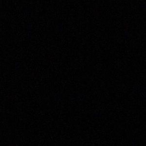 Meet your Posher, Larry